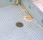 風呂場タイル補修